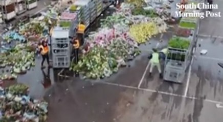 İnsanlar, hayvanlar derken sırada çiçekler var