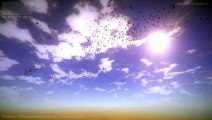 #NVJOB Simple Boids (Flocks of Birds, Fish and Insects) v1.1. Flocking Simulation. Free Unity Asset.