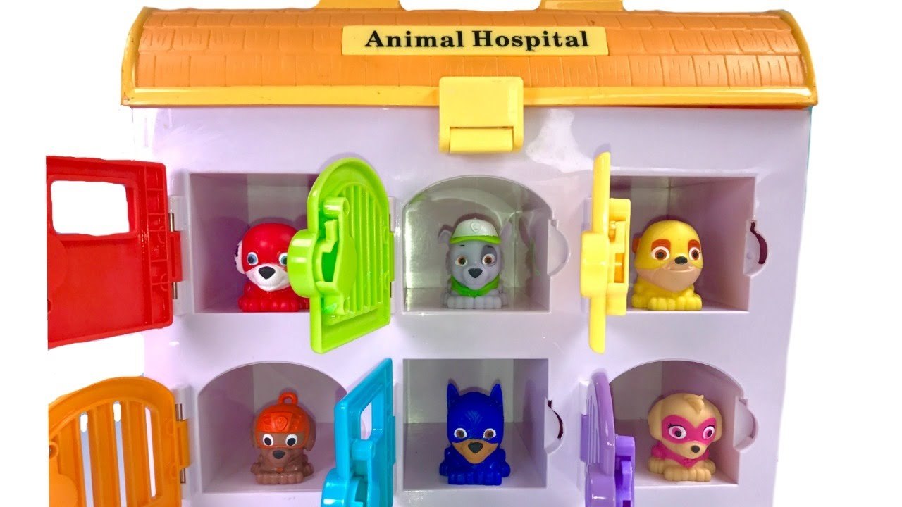 Colors with Paw Patrol Super Pups Mashems in Animal Hospital - video Dailymotion