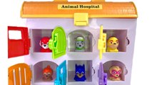 Colors  with Paw Patrol Super Pups Mashems in Animal Hospital