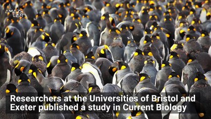 Marine Life is Moving Toward the Poles to Escape Warming Waters