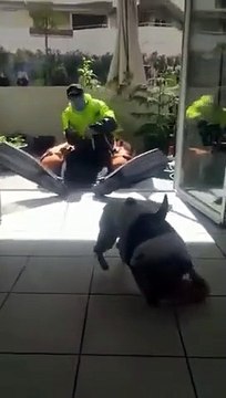 Pêche au gros en confinement : canne à pêche et chien !