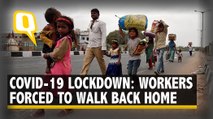 ‘Will Die of Hunger Before COVID-19’:  Lockdown Leaves Daily Wage Workers In the Lurch