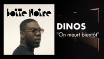 Dinos | Boite Noire