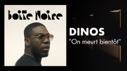 Dinos | Boite Noire