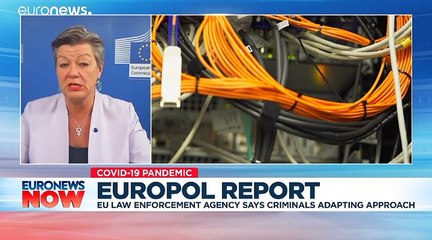 Cybercrime spikes during coronavirus pandemic, says Europol