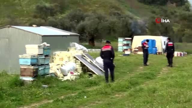 Arı ve balları ayılar değil, hırsızlar yok etmiş