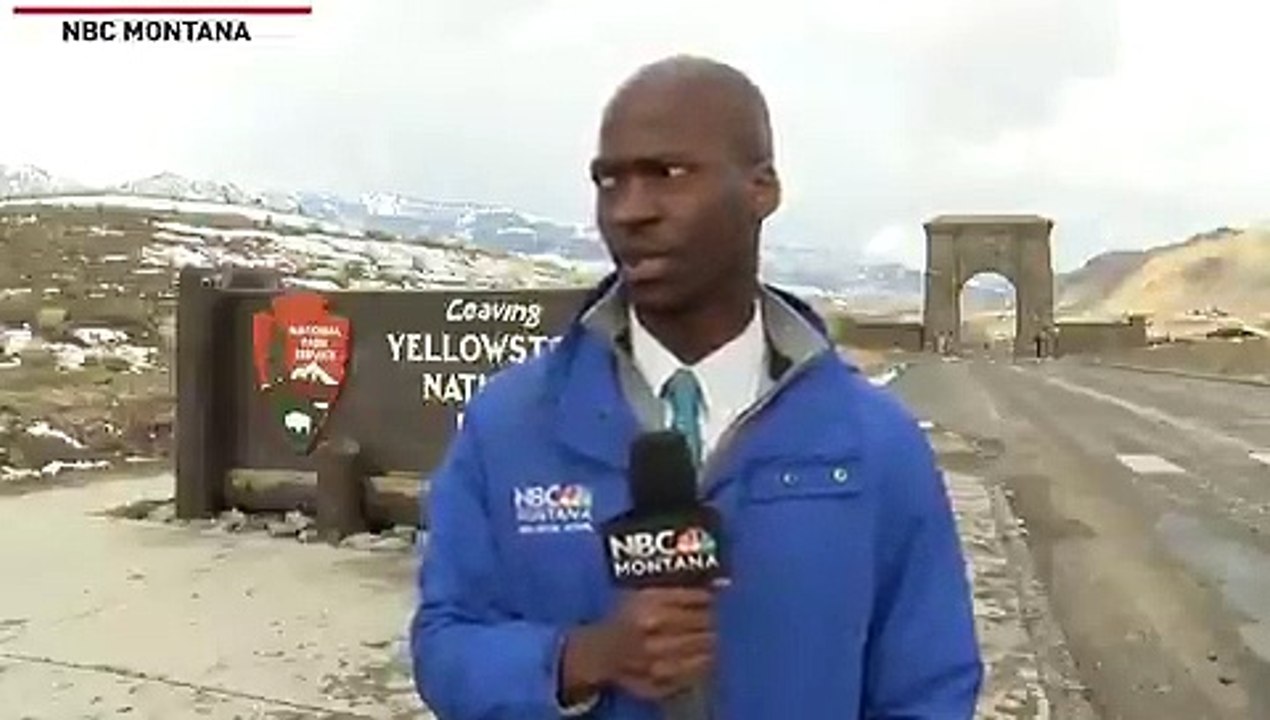 La réaction hilarante d’un journaliste devant un troupeau de bisons s’approchant de lui