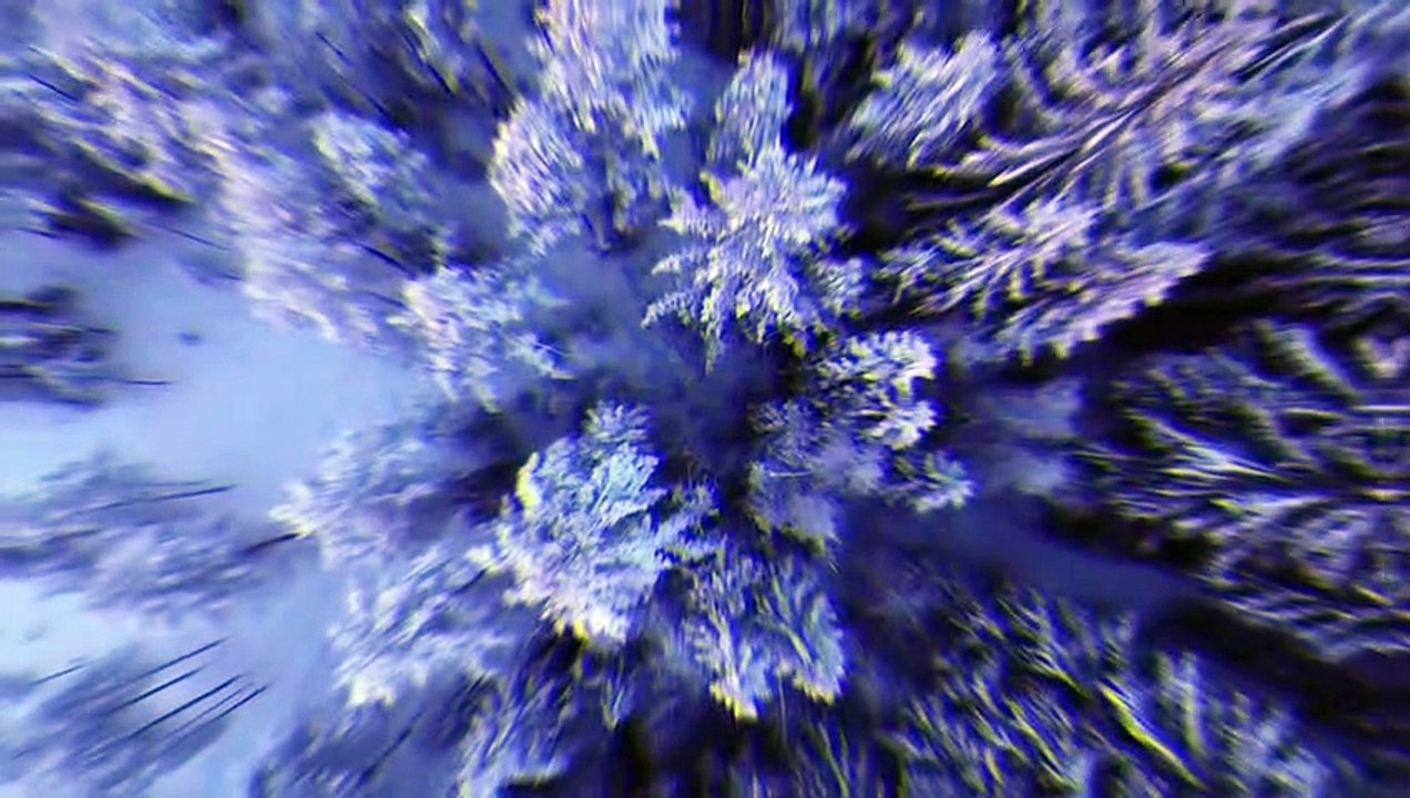 plunge into the nature