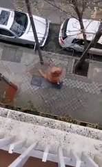 Responsible T-Rex Taking Out Trash During Covid-19