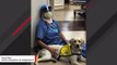 Sweet Therapy Dog Offers Comfort To Doctors Battling Coronavirus