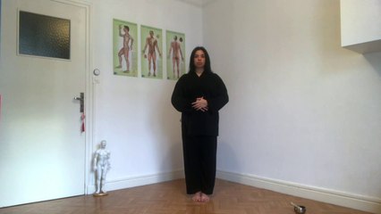 Cours de Qi-Gong Wu Dang - Pratique proposée pendant le confinement par Jimena Figueroa