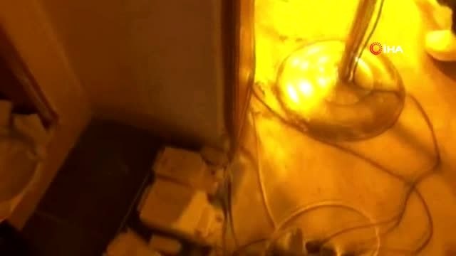 Uyuşturucu serasına çevrilen eve polis baskını