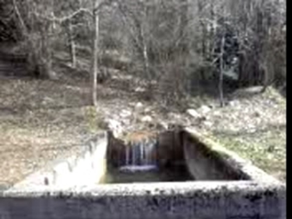 saut blanc vs noir
