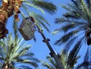 Mannix S01E01 The Name Is Mannix