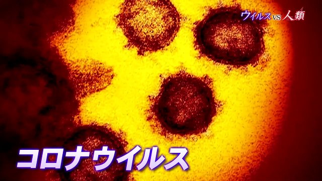 BS1スペシャル「ウイルスＶＳ人類～未知なる敵と闘うために～」2020年3月28日