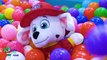 Learn Colors with Paw Patrol Pack and Move to a New Mansion House with Furniture