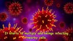 How Coronavirus Affects Human Body__HD
