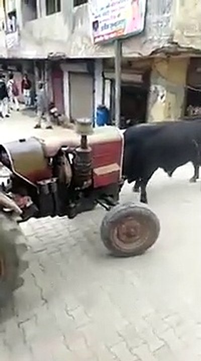Bulk and tractor