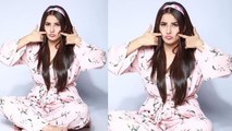Shehnaz Gill's new photo surely will wins your heart after Bhula Dunga; Check out here| FilmiBeat