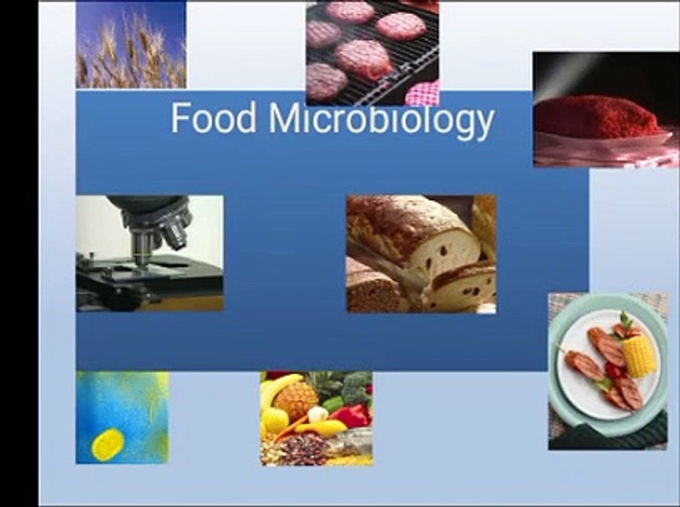 Food microbiology