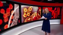 Coronavirus BBC News 28 March 2020