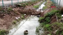 ADANA Kozan'da sulama kanalı çöplüğe döndü