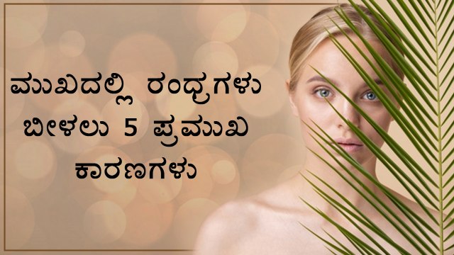 5 Major Reasons Why You Have Large Pores And Solution For It | Boldsky Kannada