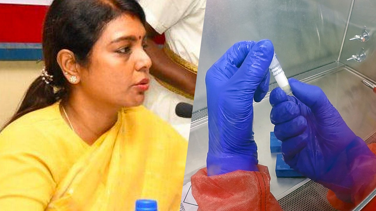 கன்னியாகுமரியில் 3 பேர் உயிரிழப்பு... சுகாதார துறை விளக்கம்