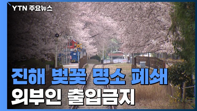 진해 벚꽃 명소 폐쇄 조치로 한산...대구 도심은 조금씩 붐벼 / YTN