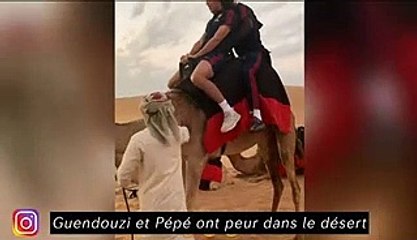 Guendouzi et Pépé dans le désert - Cherki à l'entrainement - Benedetto concenctré - KB9