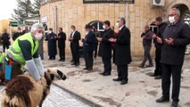 Erzincan'da koronavirüsün son bulması için kurban kesildi