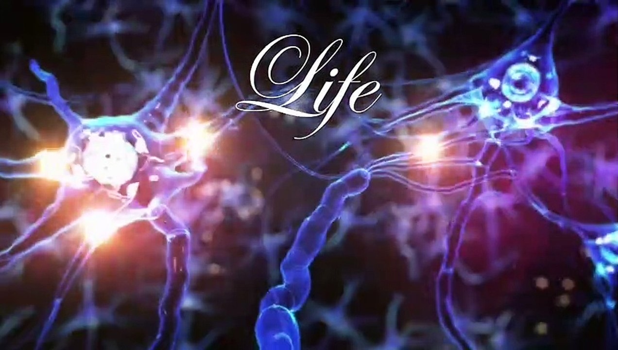 Inessa Kraft • Architecture Life Dialogue • Trailer 2020