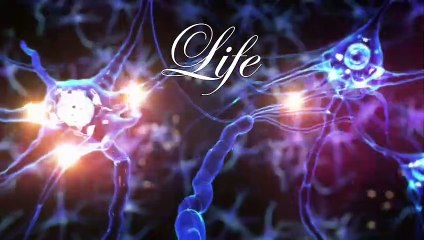 Inessa Kraft • Architecture Life Dialogue • Trailer 2020