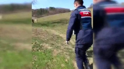 Jandarma, dağda hayvan otlatan yaşlı kadını böyle uyardı