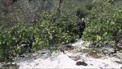 Dolu yağışı hayatı olumsuz etkiledi - MERSİN