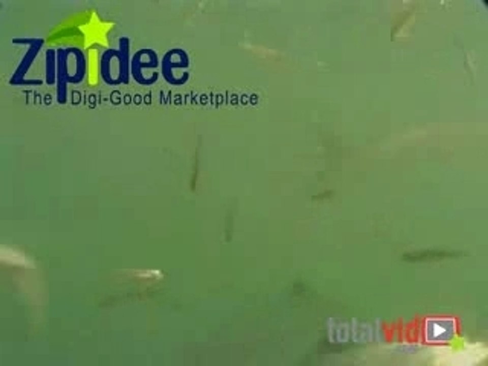 Finding the spot