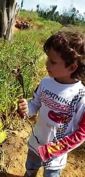 Cette fillette n'a vraiment pas peur des araignées... même des très grosses