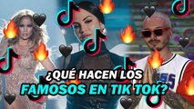 TIK TOK: FAMOSOS Y TODO LO QUE HACEN EN LA APP