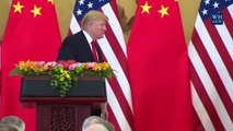 Trump mantiene una conversación con Xi Jinping sobre crisis de coronavirus