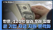 한은, 120억 달러 모레 입찰...이번 주 기업 자금 지원 본격화 / YTN