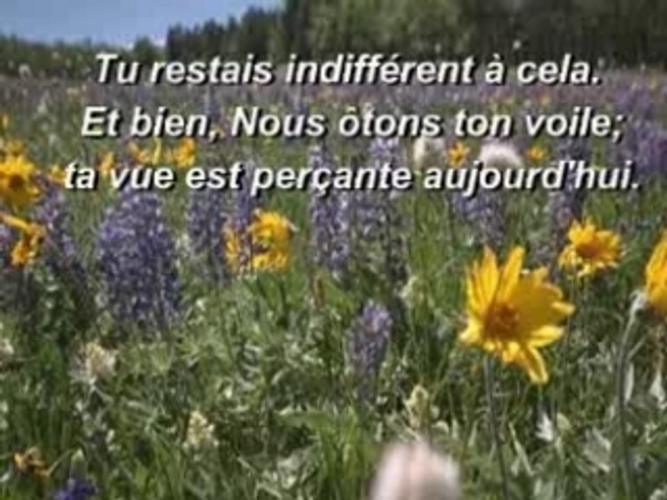 Sorat Qaf  - Saad Al-Ghamdi