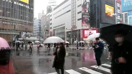 - Japonya'da 32 yıl sonra bir ilk- Tokyo'da "sakura" mevsiminde kar yağdı