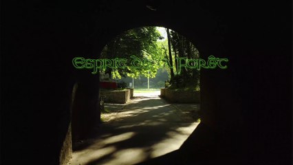 Esprit de la Forêt | Temple d'Eros (feat. Shirayuki) (French Vocal  Celtic Music)