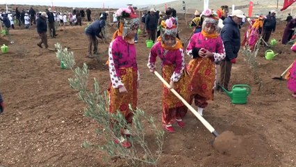 Gaziantep'in orman varlığı artıyor