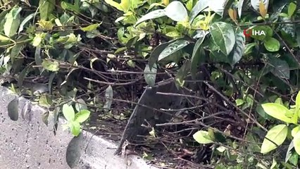 Kayganlaşan yolda kaza yapan araç sürüklenince lastikleri fırladı