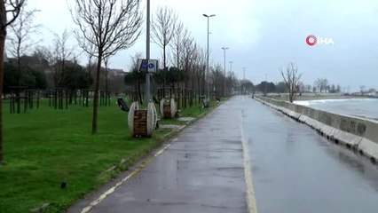 Caddebostan sahili martılara kaldı