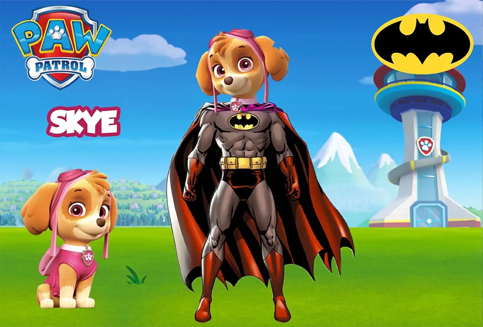 Superhero chase shop paw patrol