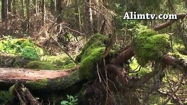 Hizmet nasıl olmalı - M. Zeki Ceylan