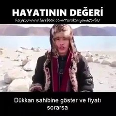 Hayatının Değeri Nedir?